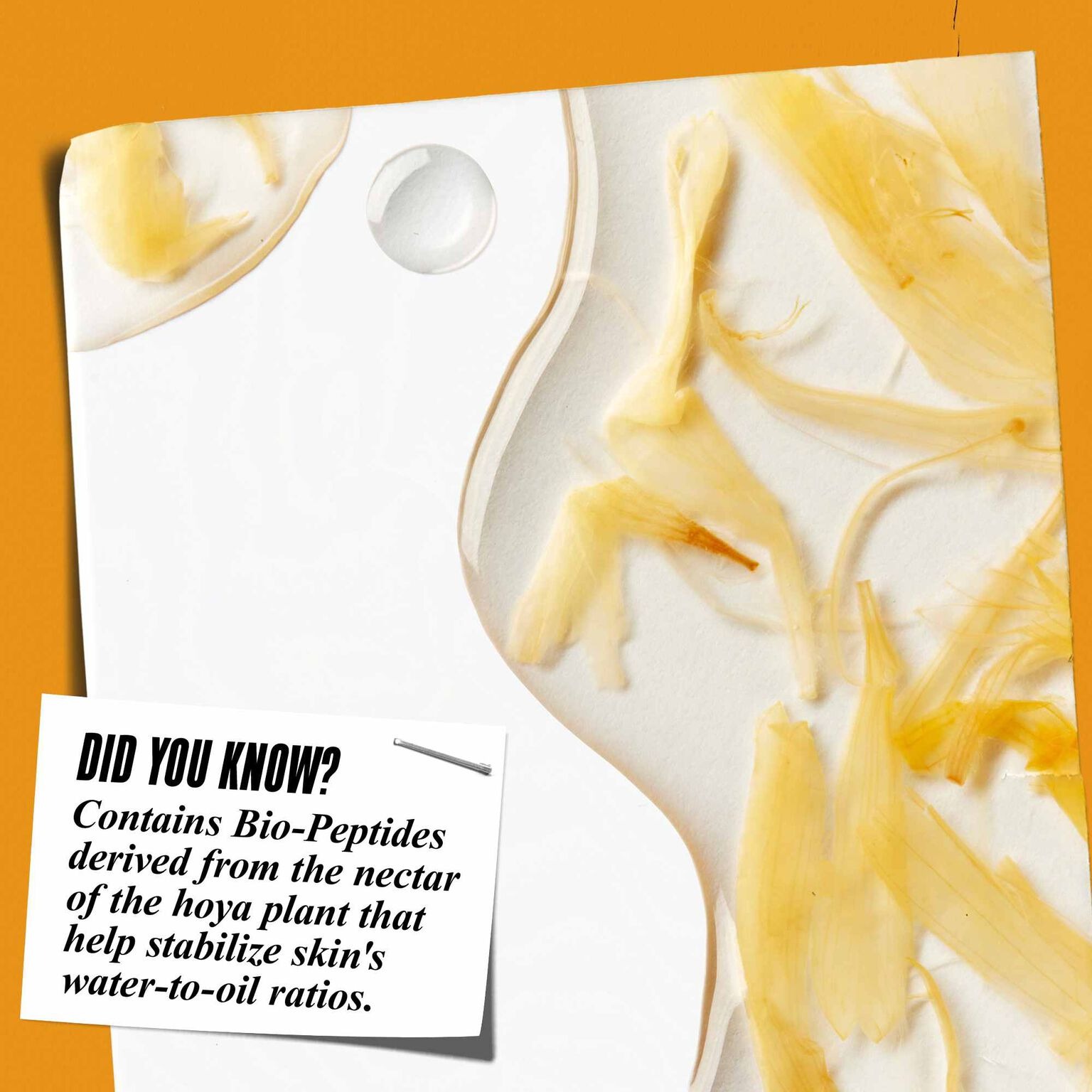 Kiehl's Calendula Herbal Extract Alcohol-Free Toner - Afbeelding 3