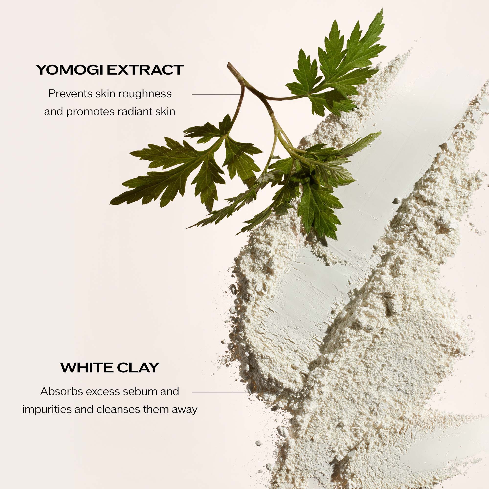 Shiseido Clarifying Cleansing Foam - Image 5